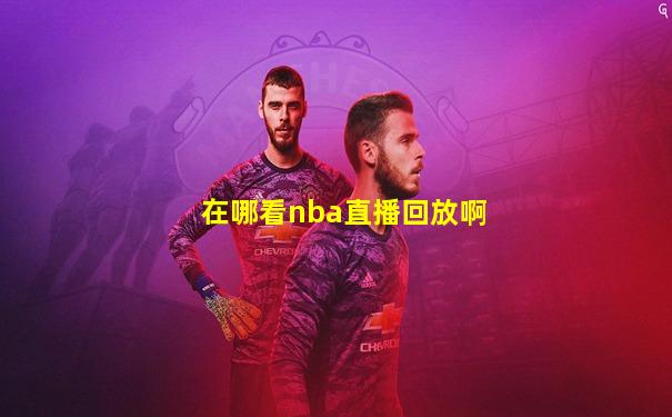 在哪看nba直播回放啊