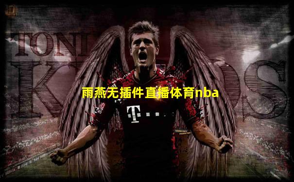 雨燕无插件直播体育nba