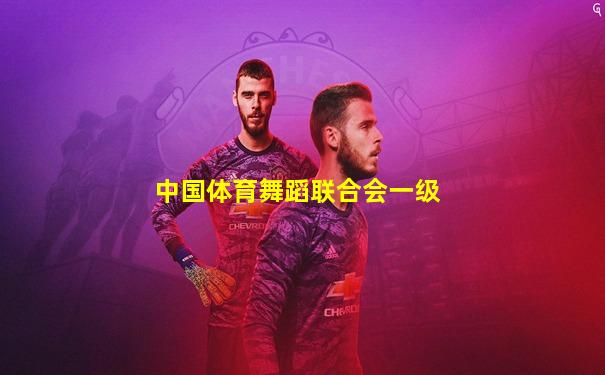 中国体育舞蹈联合会一级