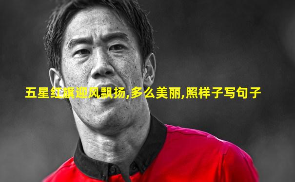 五星红旗迎风飘扬,多么美丽,照样子写句子