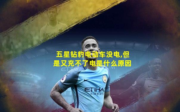 五星钻豹电动车没电,但是又充不了电是什么原因