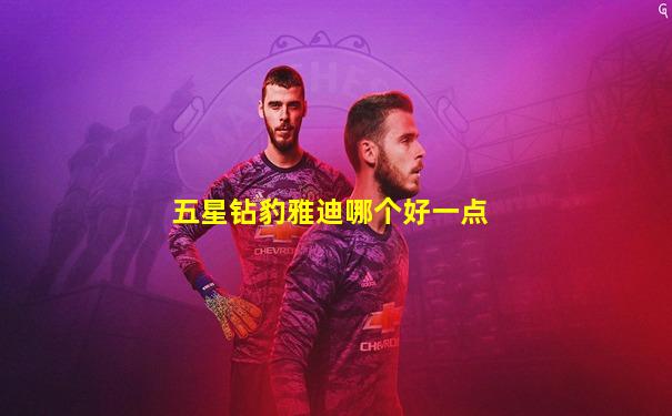 五星钻豹雅迪哪个好一点