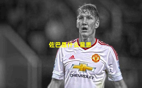 佐巴是什么意思