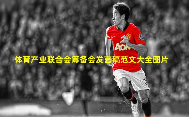 体育产业联合会筹备会发言稿范文大全图片