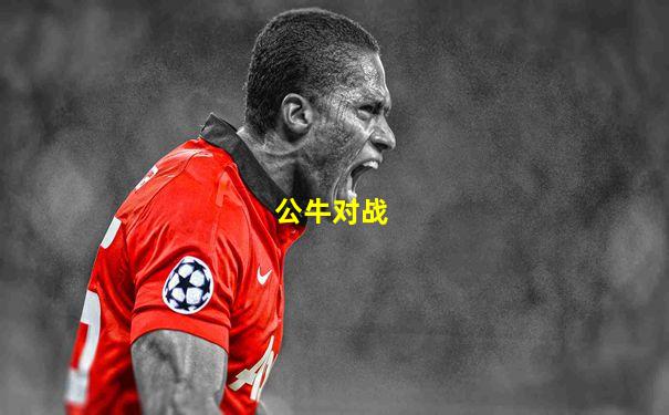 公牛对战