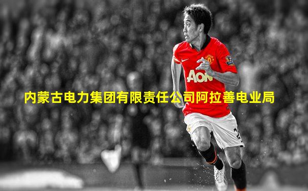 内蒙古电力集团有限责任公司阿拉善电业局
