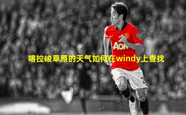 喀拉峻草原的天气如何在windy上查找