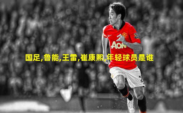 国足,鲁能,王雷,崔康熙,年轻球员是谁