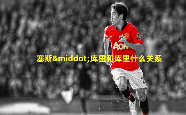 塞斯·库里和库里什么关系