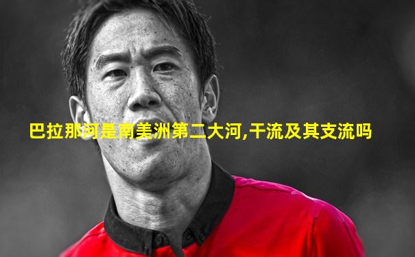 巴拉那河是南美洲第二大河,干流及其支流吗
