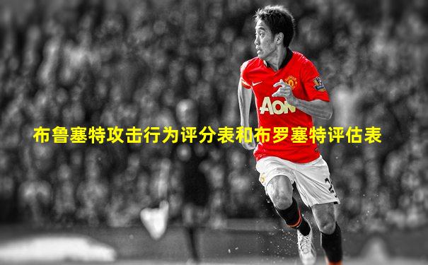 布鲁塞特攻击行为评分表和布罗塞特评估表