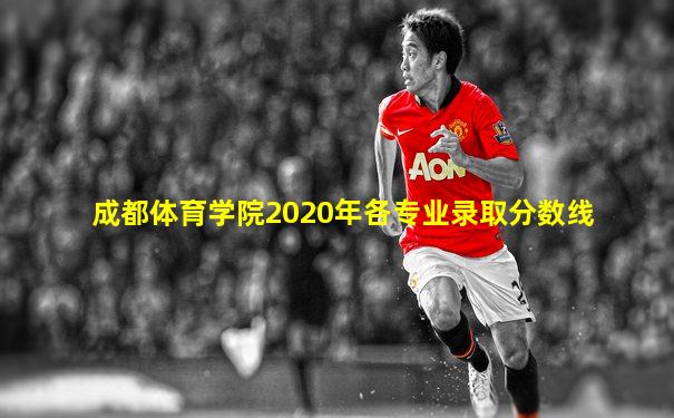 成都体育学院2020年各专业录取分数线