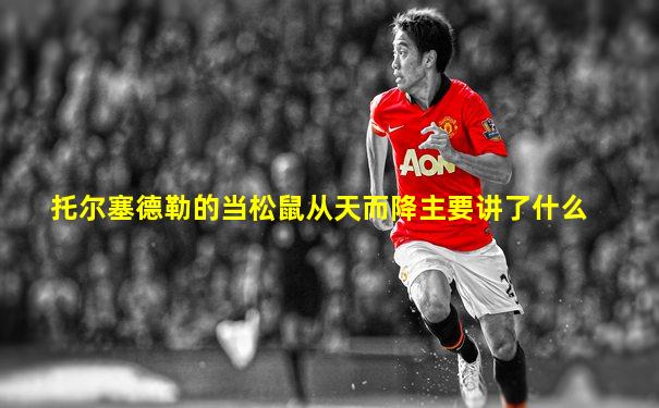 托尔塞德勒的当松鼠从天而降主要讲了什么