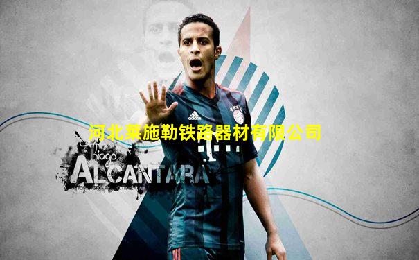 河北莱施勒铁路器材有限公司