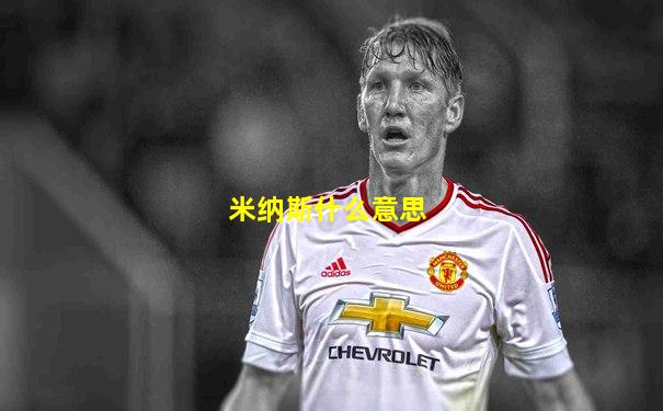 米纳斯什么意思