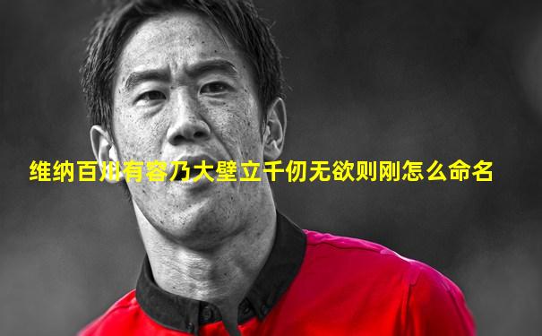 维纳百川有容乃大壁立千仞无欲则刚怎么命名