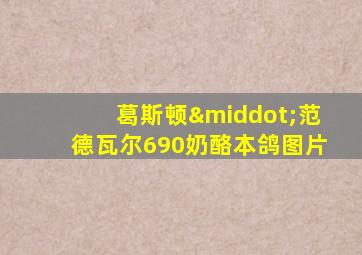 葛斯顿·范德瓦尔690奶酪本鸽图片