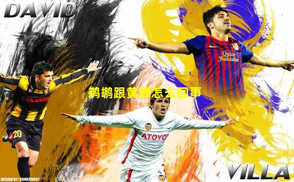 鹈鹕跟黄蜂怎么回事